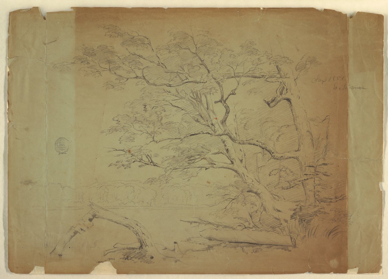 Paysage avec arbres et ruisseau [?], Île Grand Manan, Canada - Frederic Edwin Church