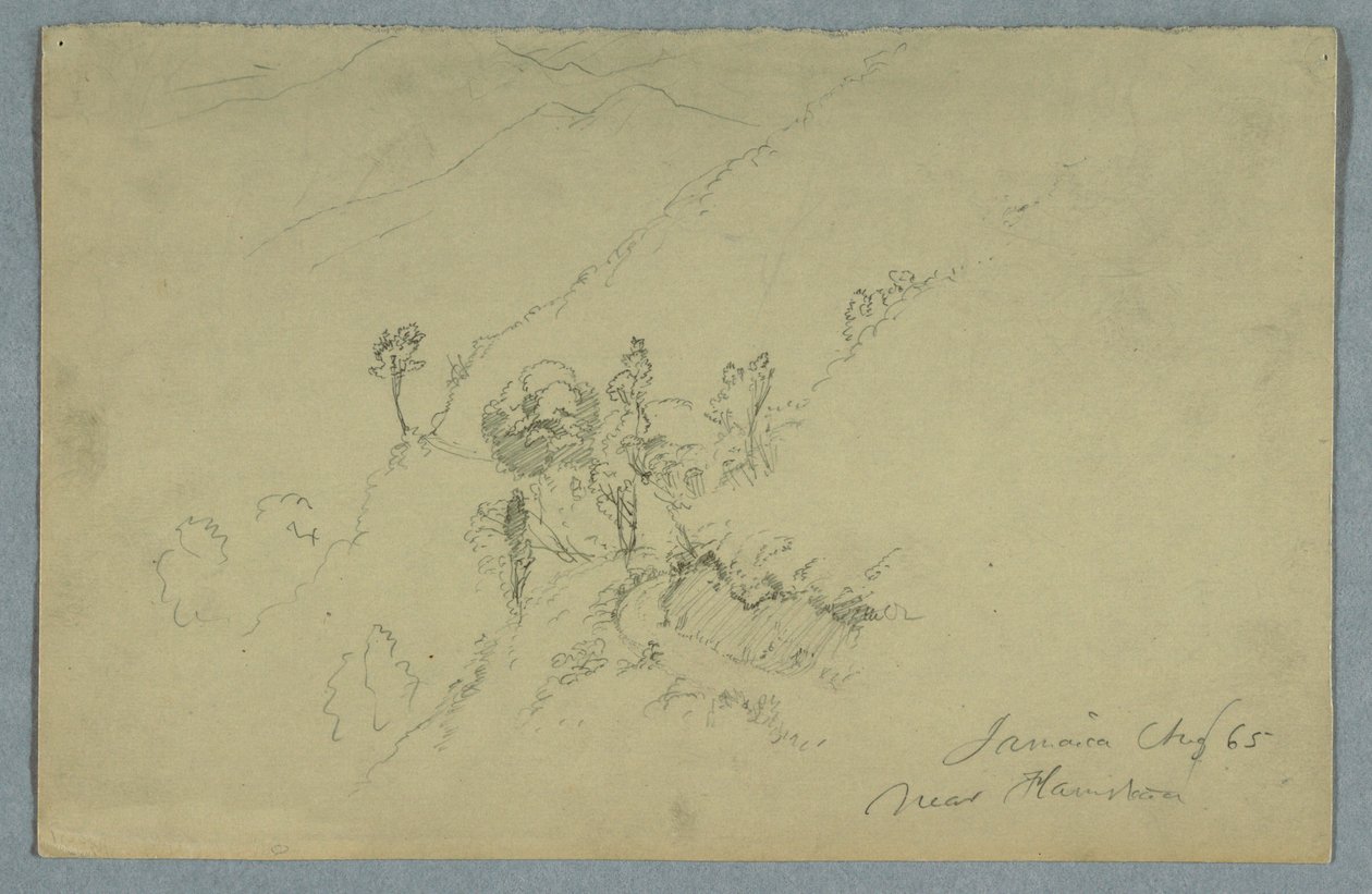 Route à travers les Blue Mountains, près de Homestead, Jamaïque - Frederic Edwin Church