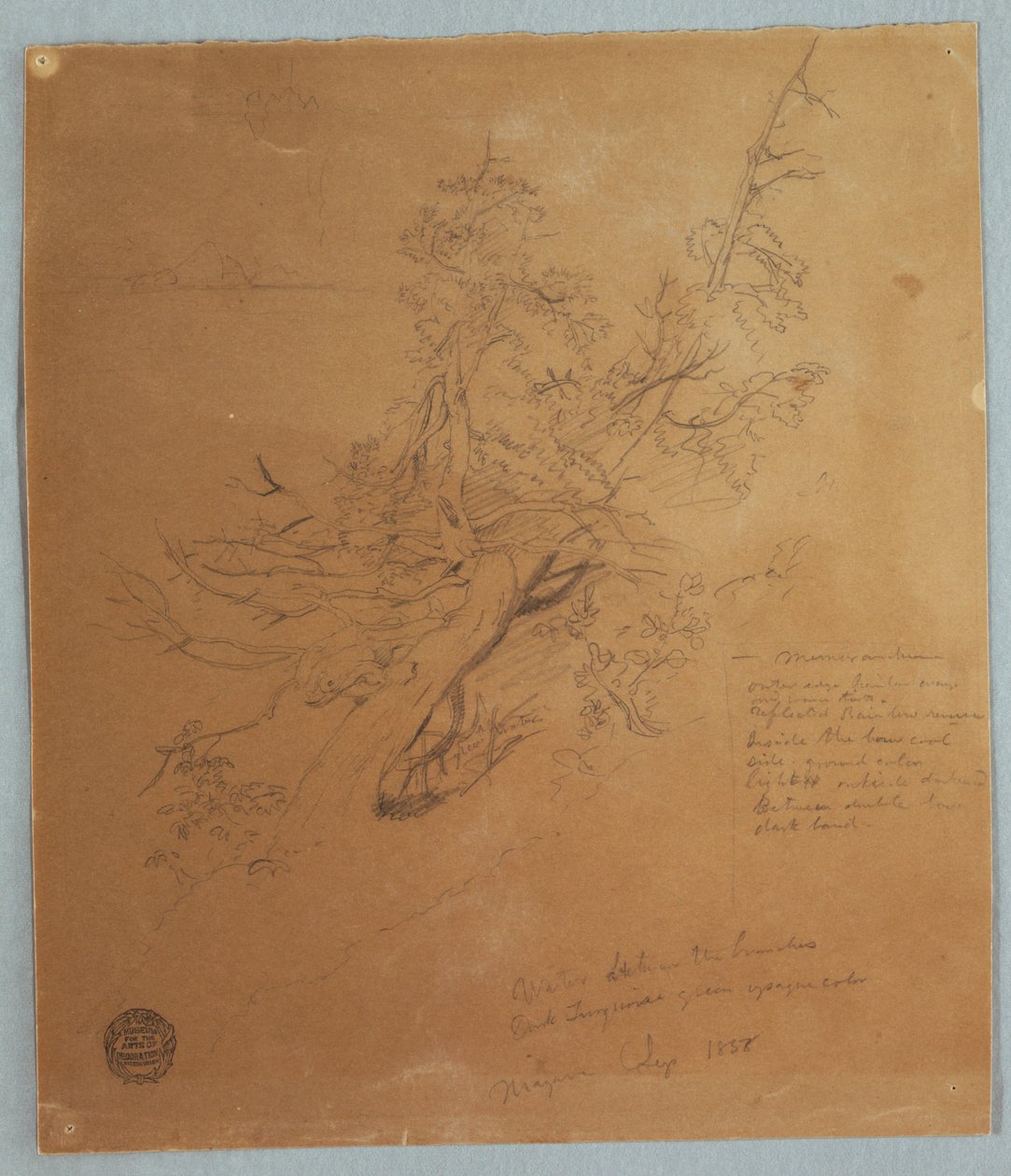 Arbre rugueux à la Banque canadienne en dessous des chutes du Niagara - Frederic Edwin Church
