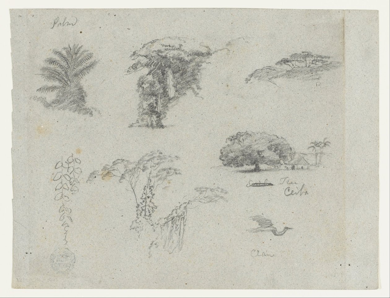 Croquis d
