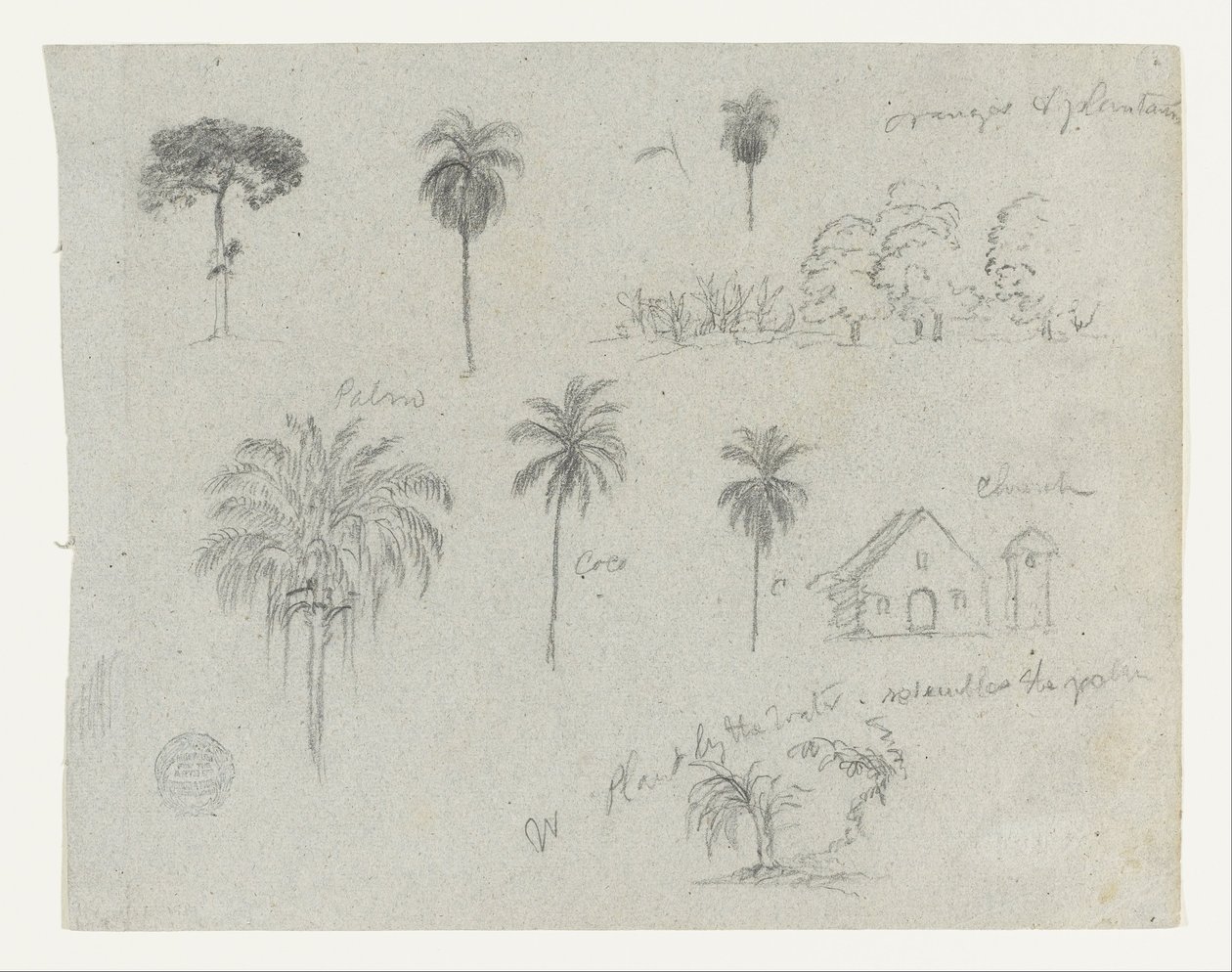 Croquis du Rio Magdalena, Colombie.  Croquis botaniques. Une église.  Similaire à -103. - Frederic Edwin Church