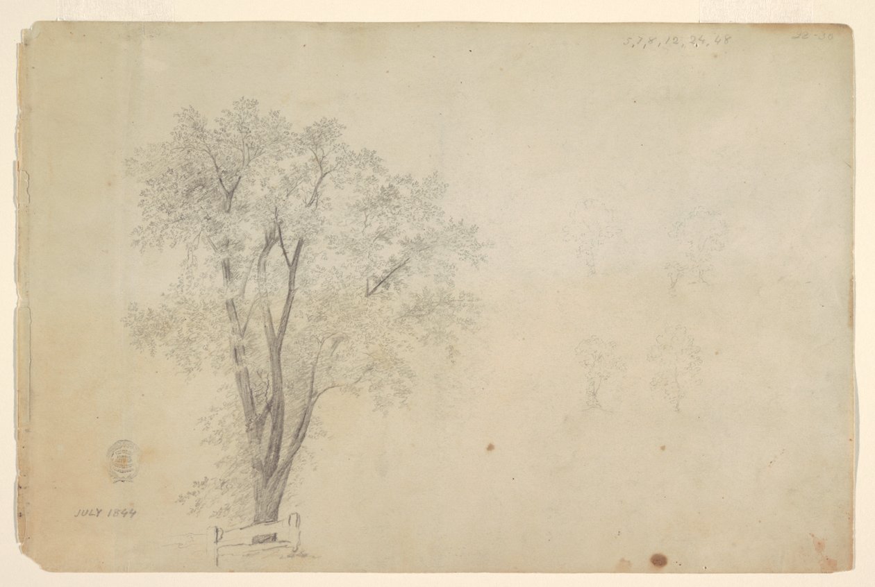 Arbres - Frederic Edwin Church