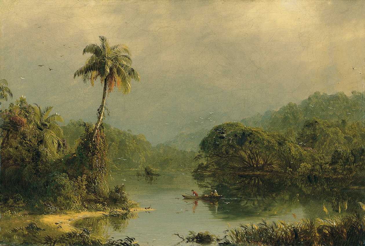 Paysage tropical - Frederic Edwin Church