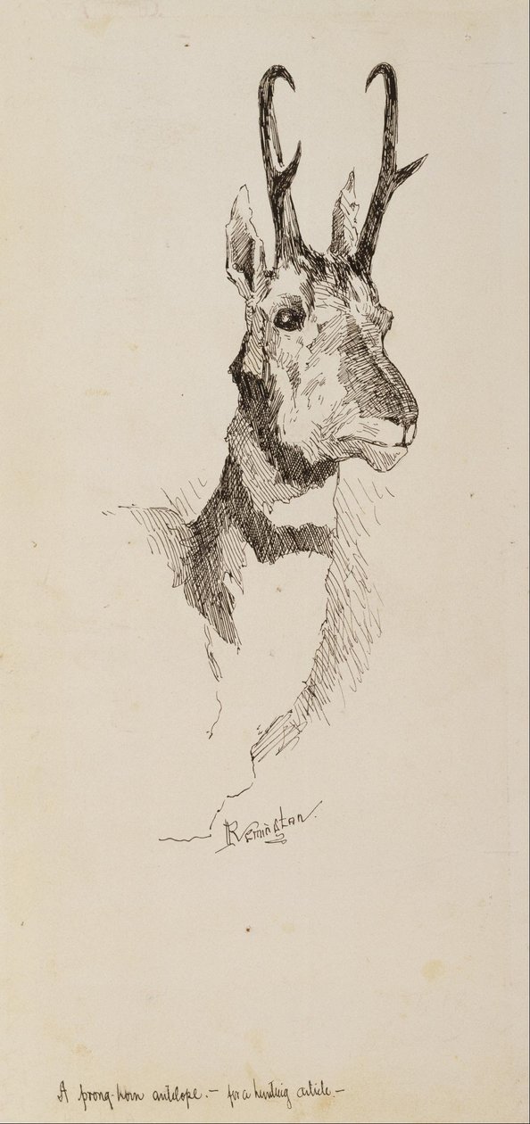 Une antilope de Pronghorn - Frederic Remington