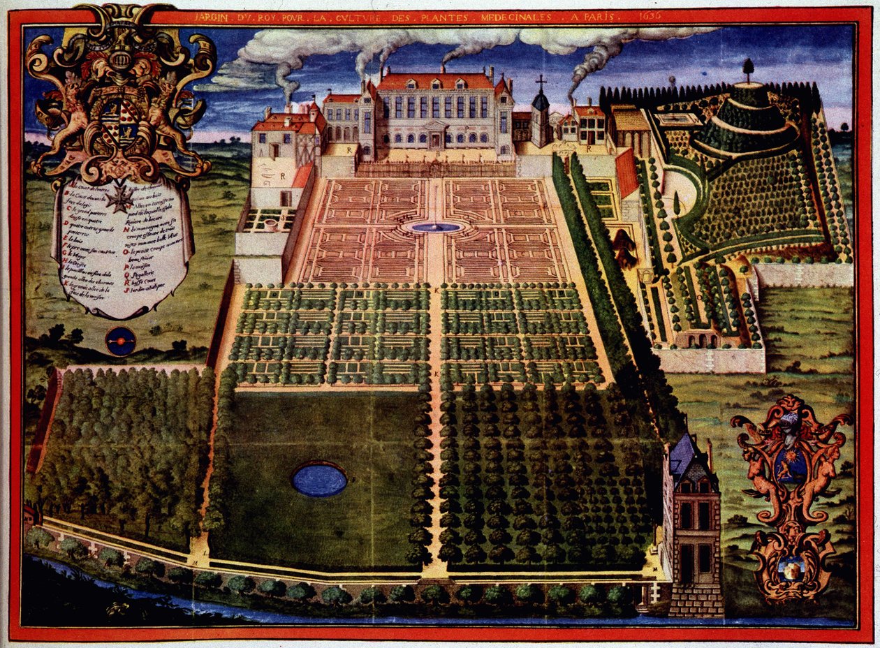 Vue du jardin royal (jardin des plantes) - dans "Description du jardin royal des plantes médicinales" par Scalberge - Frederic Scalberge