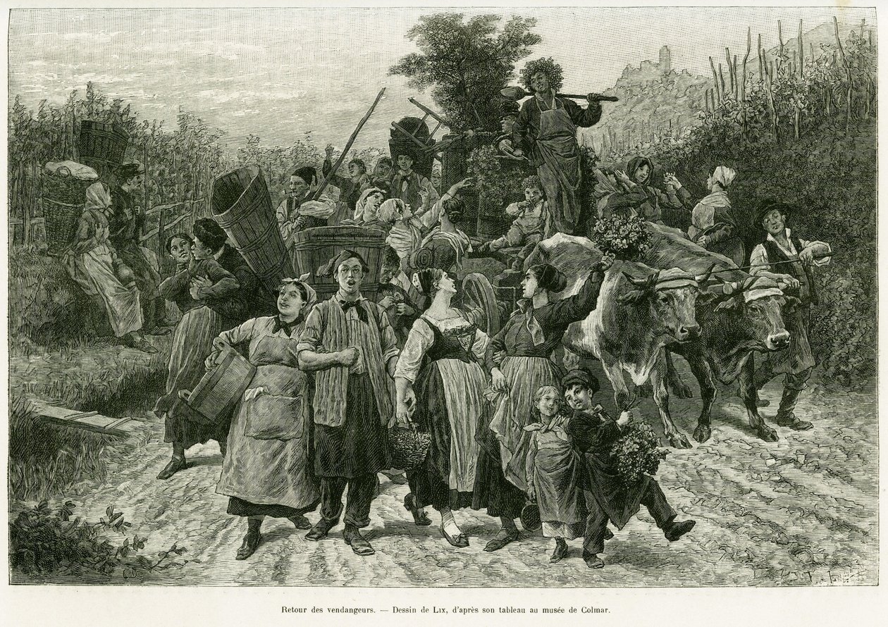 Retour de la moisson. Gravure pour illustrer l