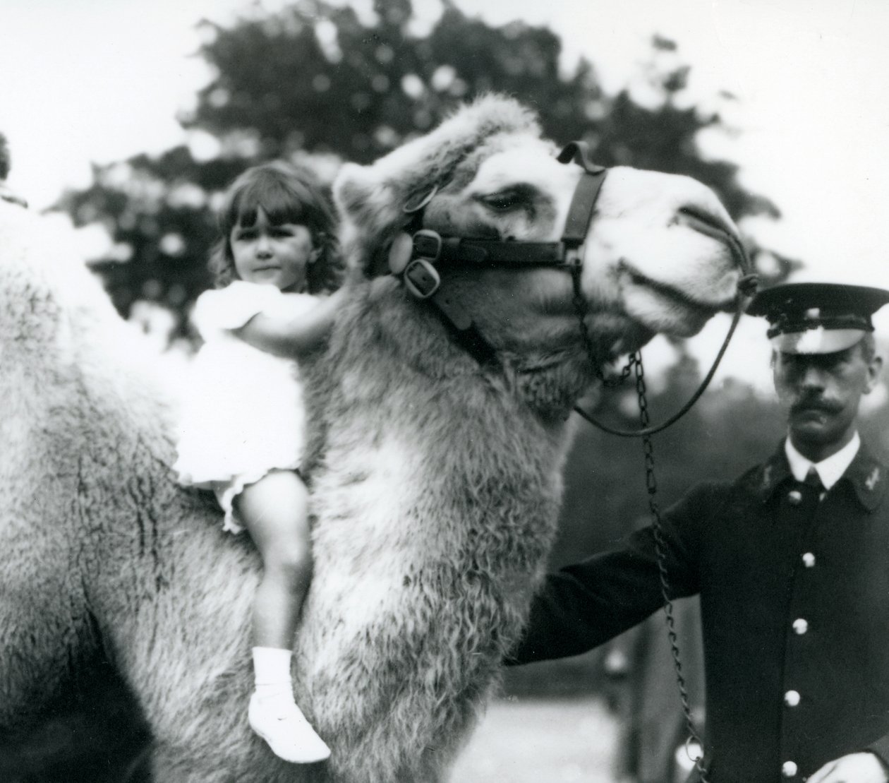 Un gardien avec un chameau de Bactriane qui donne un tour de cou à une jeune fille, zoo de Londres, septembre 1922 - Frederick William Bond