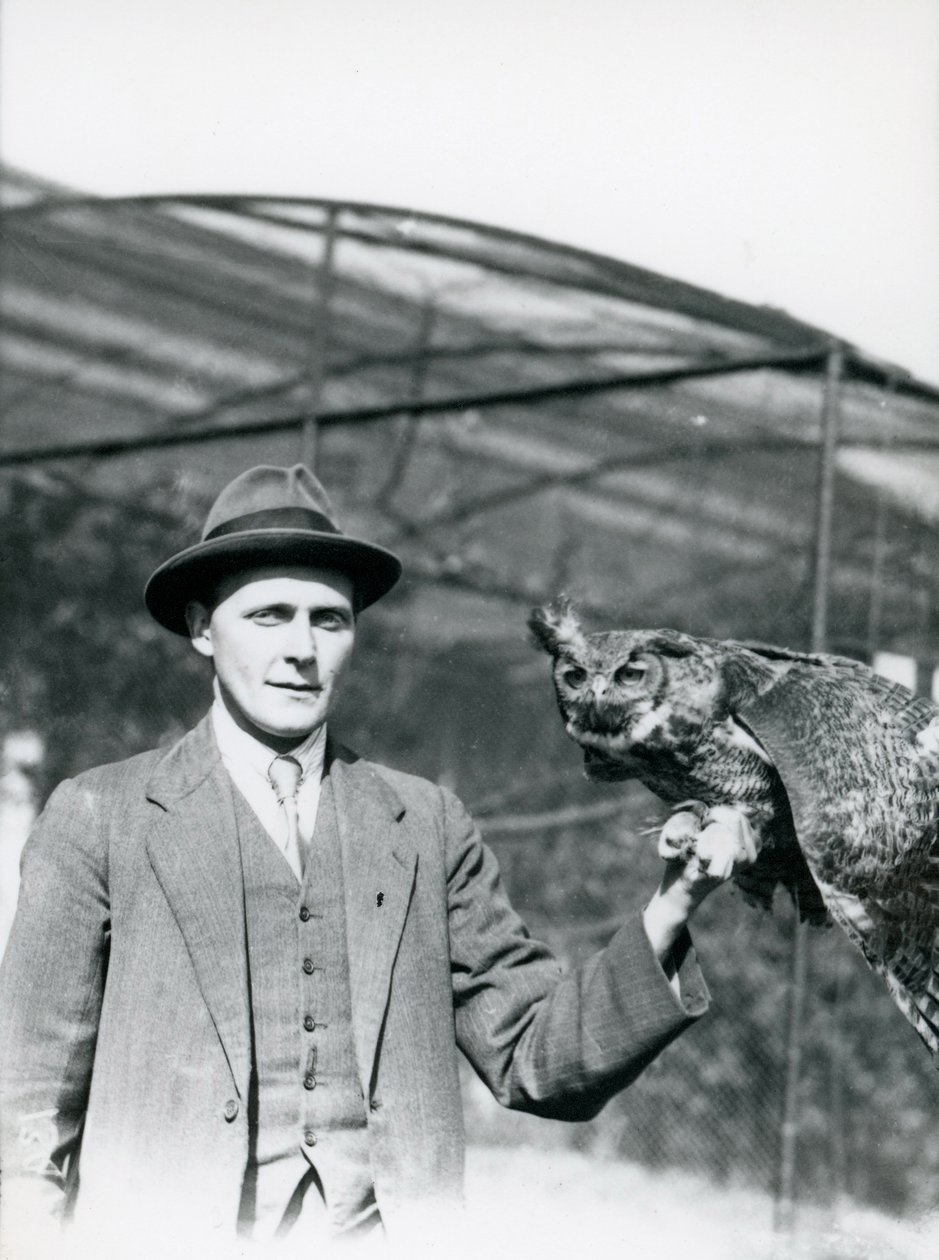 Un Hibou Grand-Duc tenu par J. Bailey, Surveillant des Oiseaux au Zoo de Londres pendant trente ans. Juin 1920 - Frederick William Bond