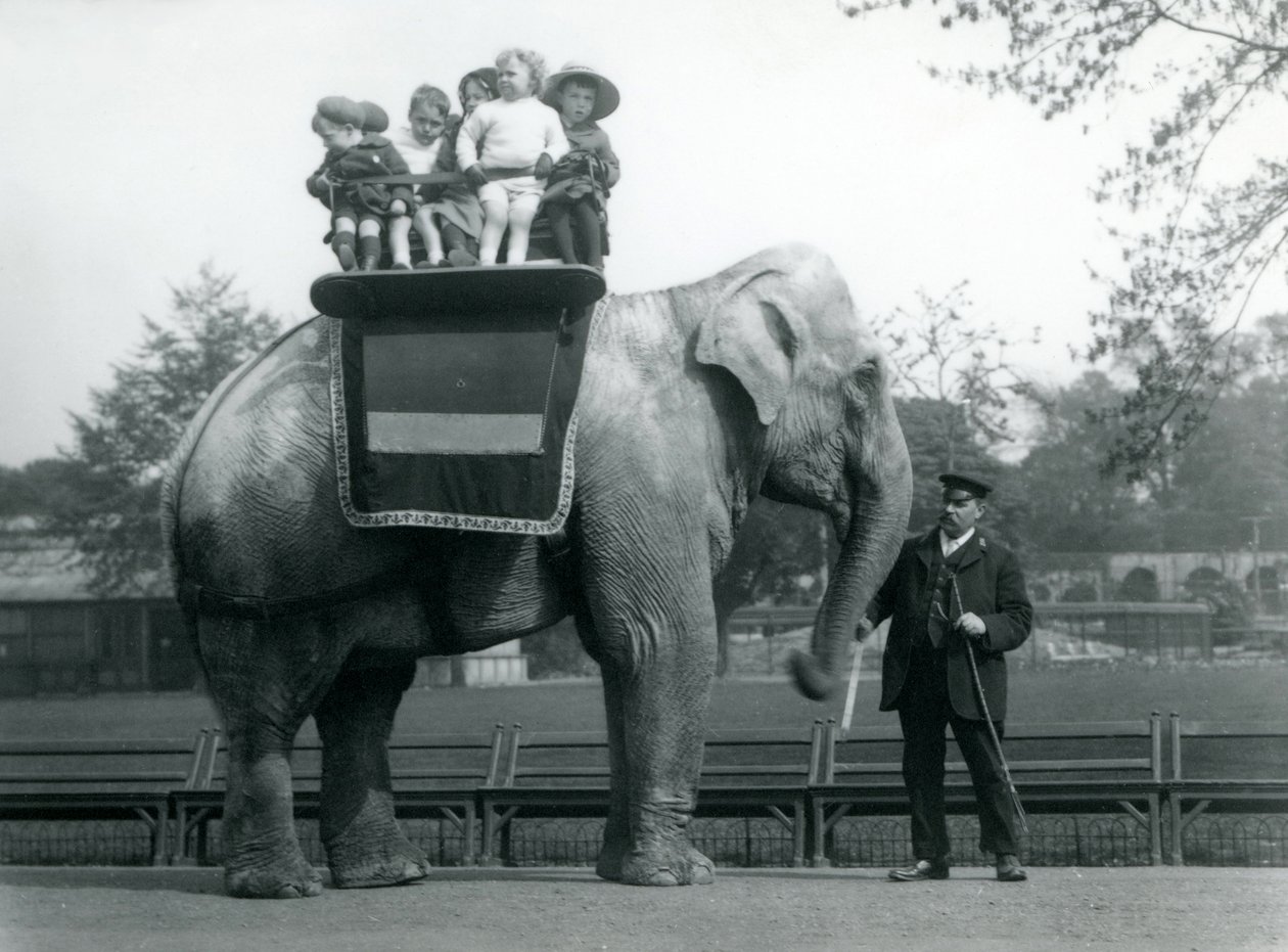 Un éléphant indien, avec son gardien, emmenant de petits enfants pour une promenade au zoo de Londres, vers 1913 - Frederick William Bond