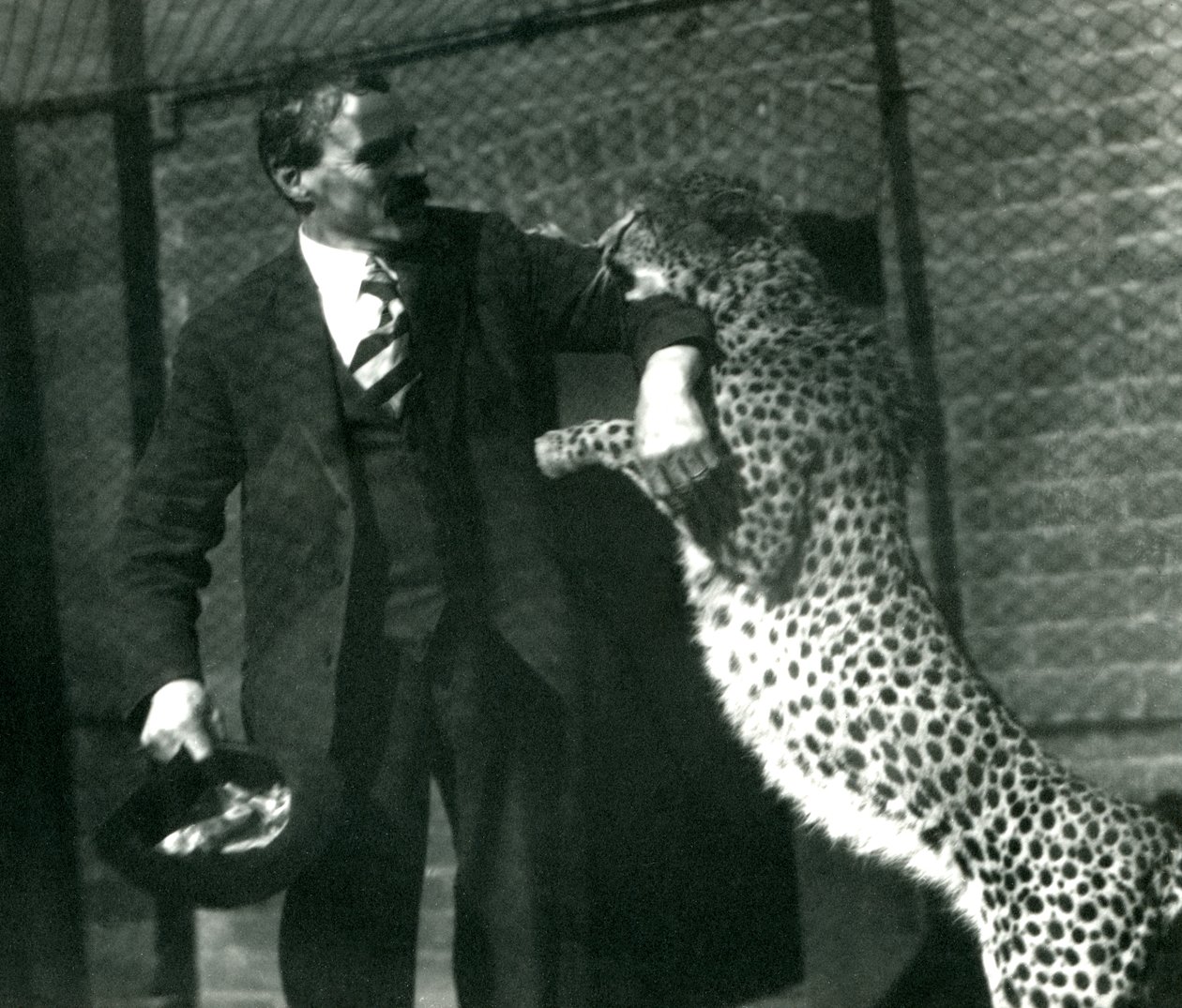 Gardien Charles Dixon avec un guépard joueur au Zoo de Londres, octobre 1922 - Frederick William Bond