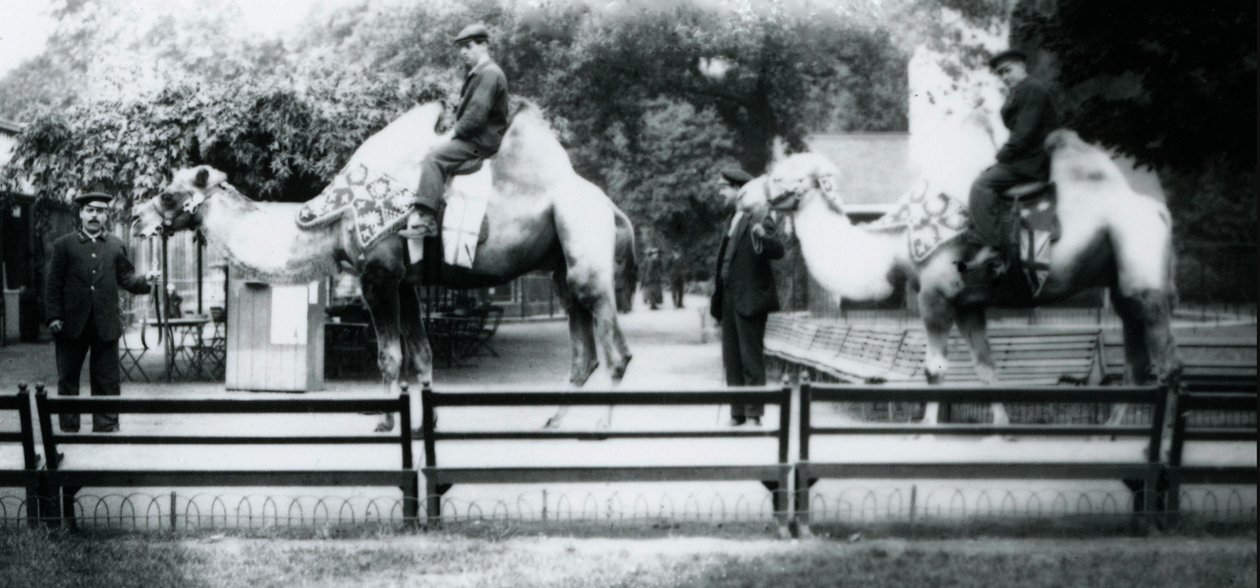 Montant des chameaux ornés pour les célébrations du Jour de la Paix, 19 juillet 1919 - Frederick William Bond