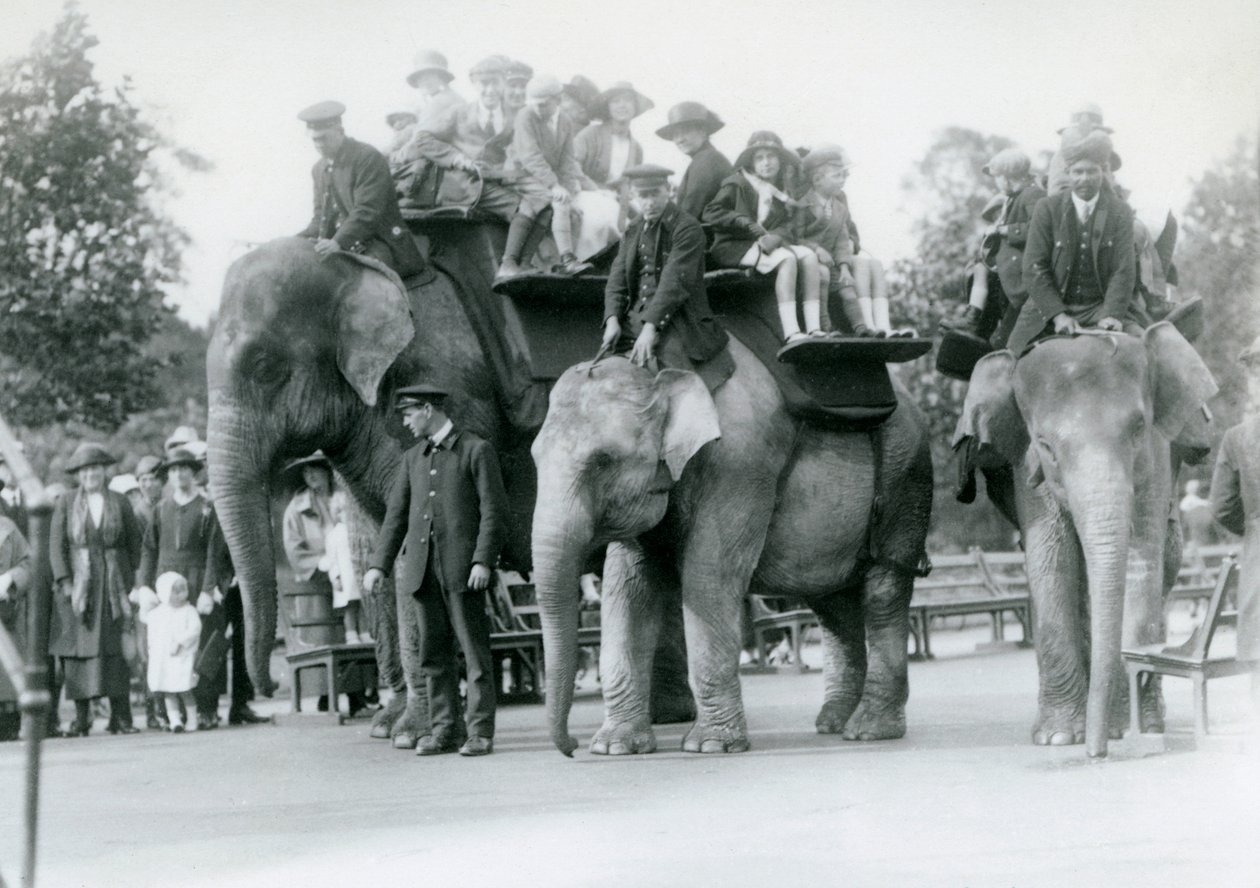 Trois éléphants indiens donnant des tours aux visiteurs au zoo de Londres, 1923 (photo nb) - Frederick William Bond