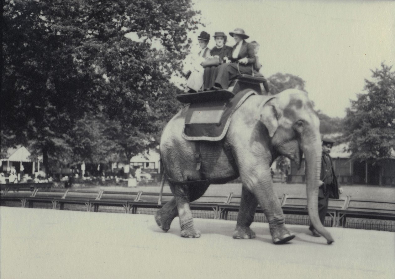 Trois dames transportées sur un éléphant asiatique, dirigé par un gardien, au zoo de Londres, mai 1914 - Frederick William Bond
