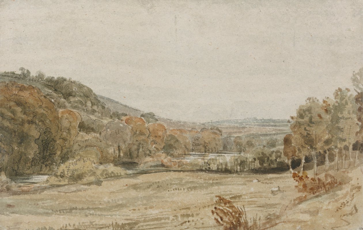 Rivière Tamar, près d
