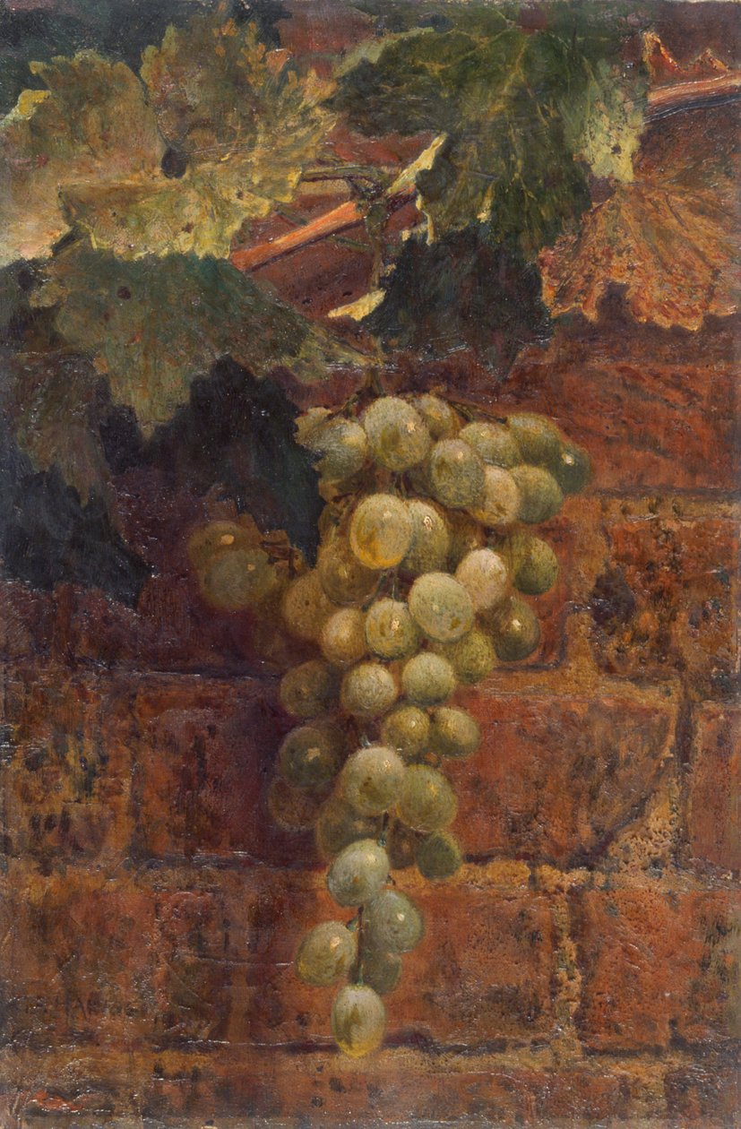 Raisins (huile sur toile) - Frederick George Harris