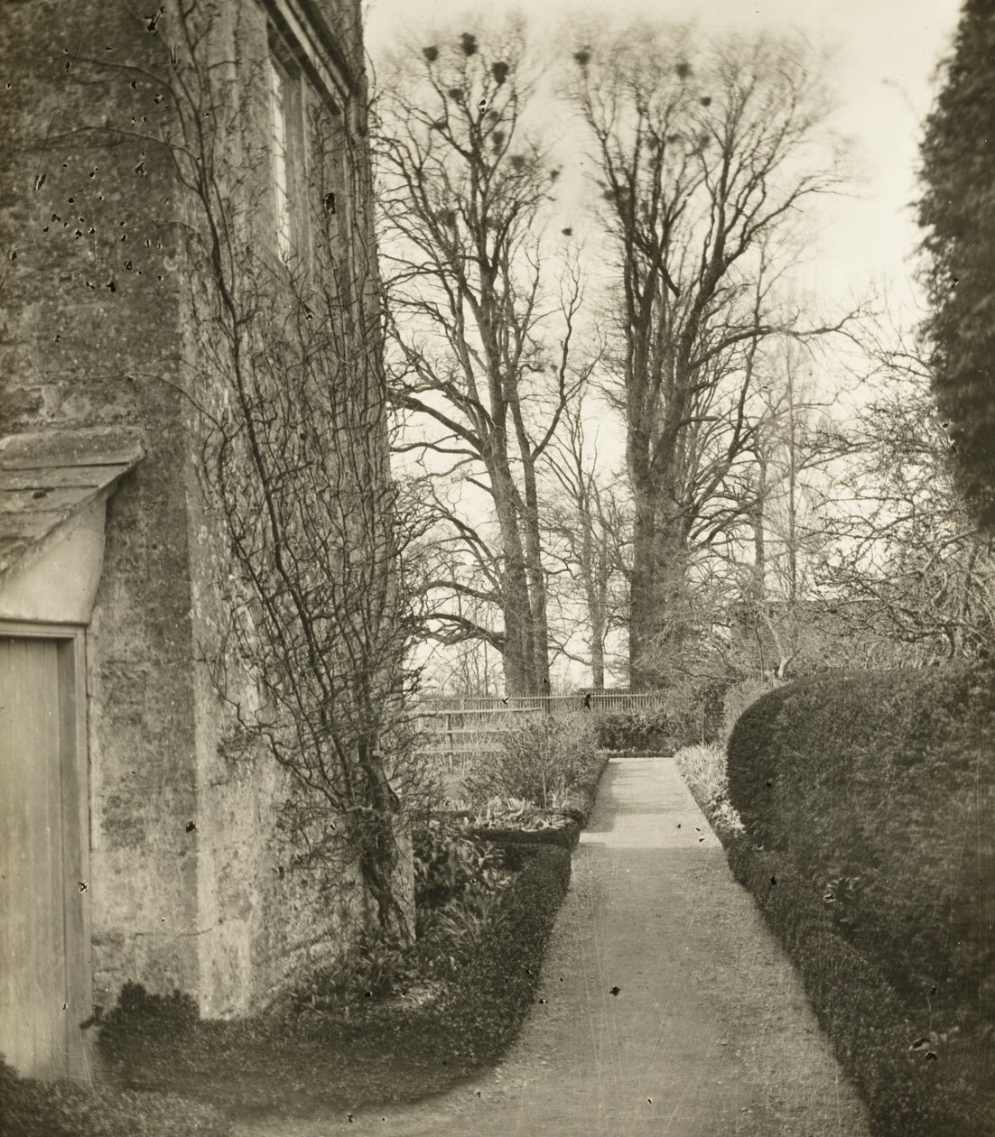 Manoir de Kelmscott : Dans le jardin - Frederick H. Evans