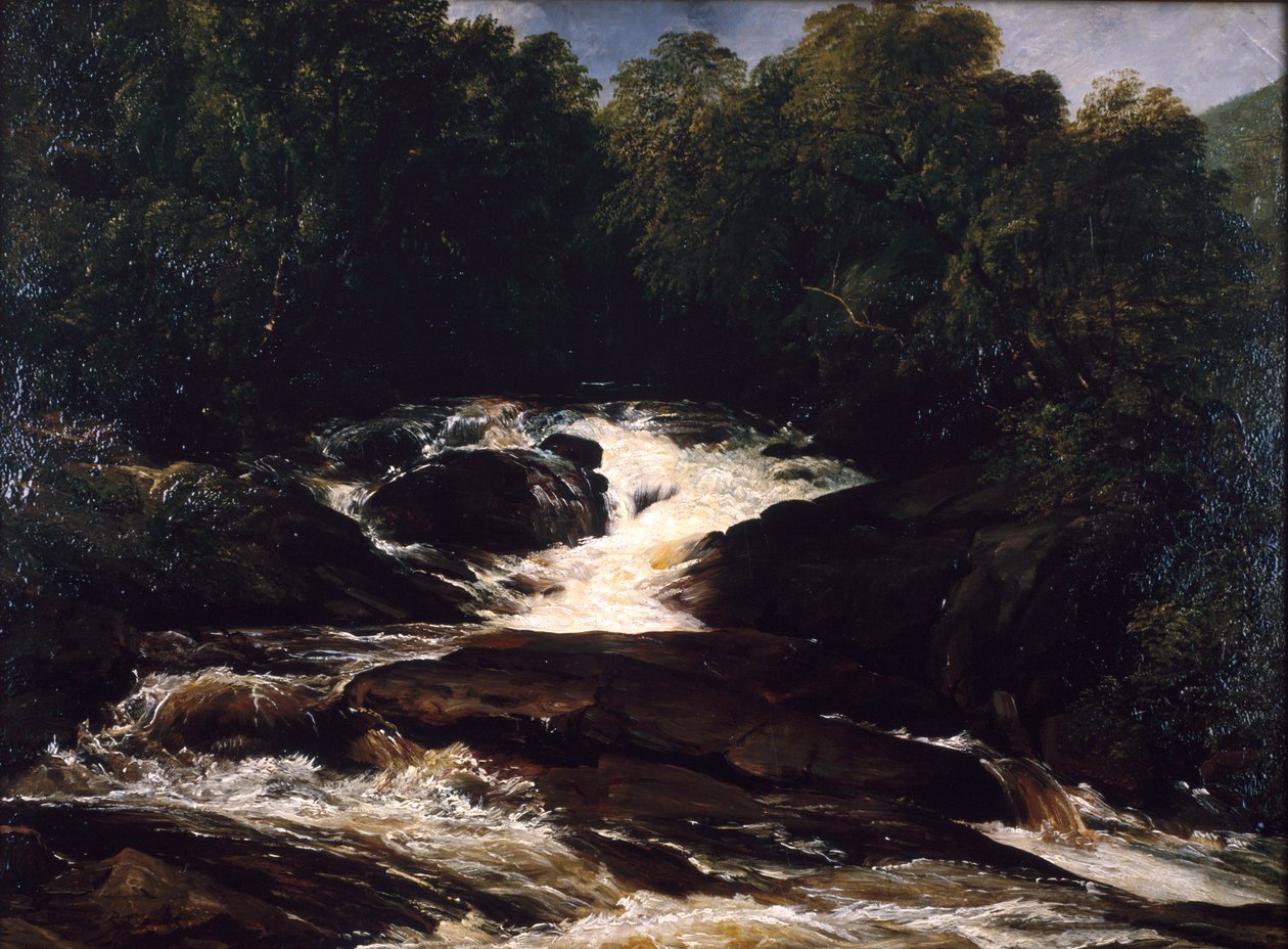 Un ruisseau du Devonshire, 1860 - Frederick Richard Lee