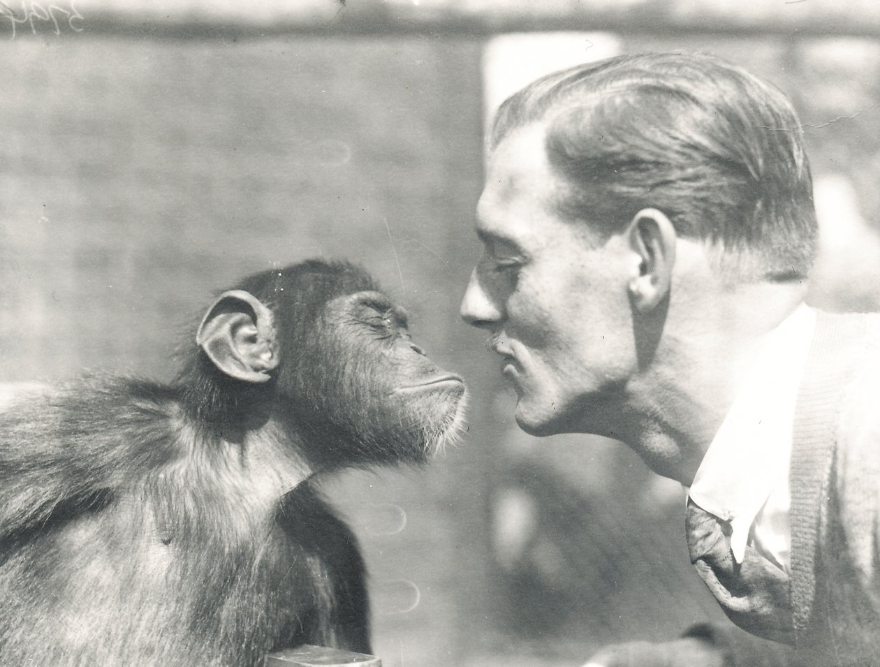 Booboo le chimpanzé et John Shelly au zoo de Londres, septembre 1927 - Frederick William Bond