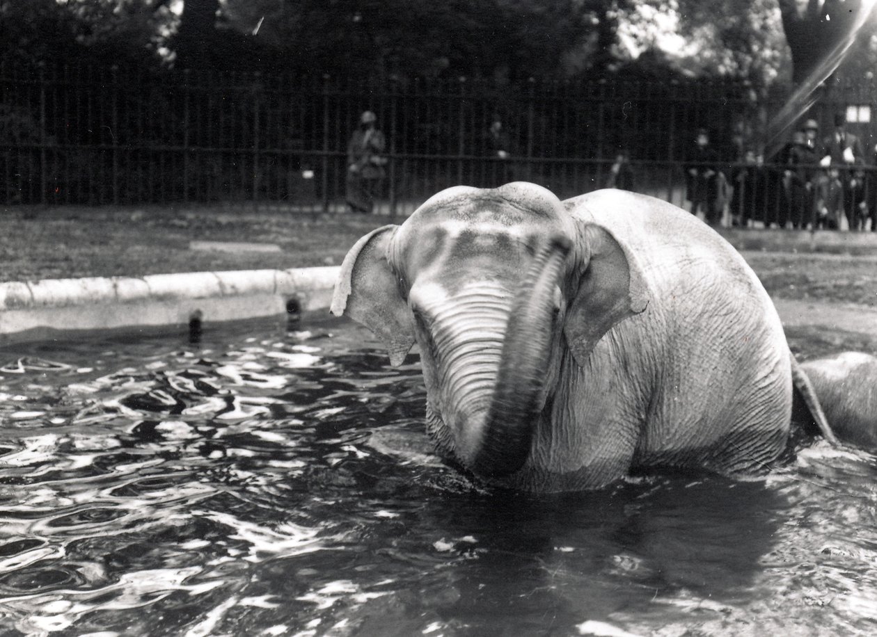 Bain d