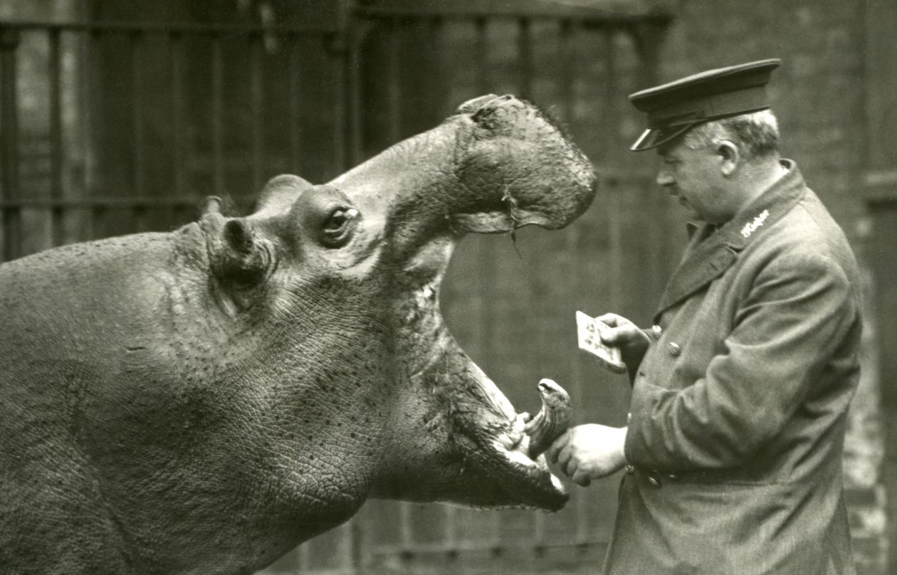 Hippopotame Bobbie avec le gardien Ernie Bowman, Zoo de Londres, 1927 - Frederick William Bond