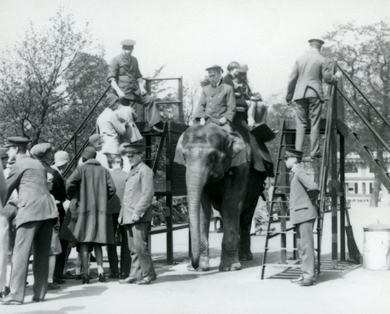 Visiteurs faisant la queue pour une promenade à dos d