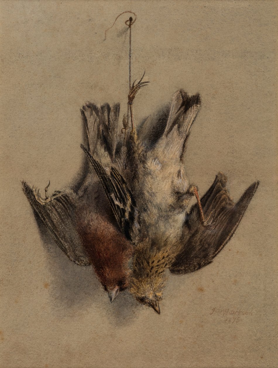 Nature morte, alouettes - Frederick William Jackson