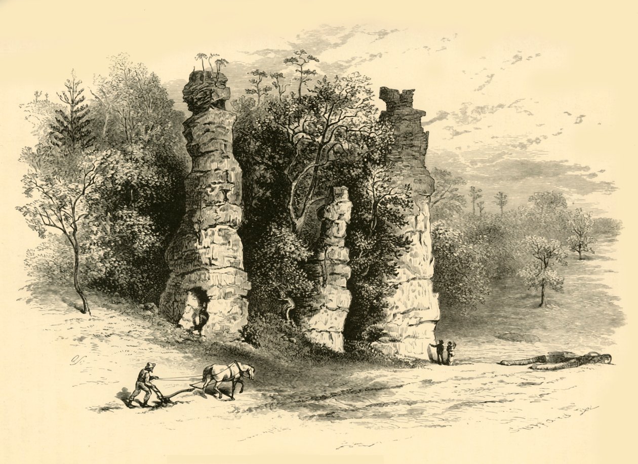 Tours naturelles - Frederick William Quartley