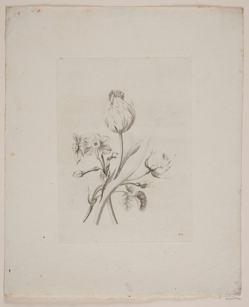 Motif floral - Frederik Schepelern