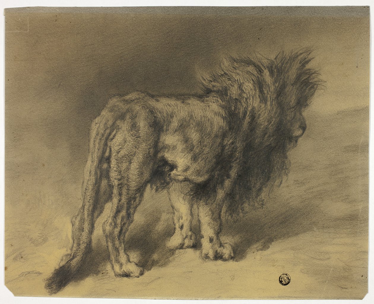 Lion debout à la crinière hirsute - Frederik William Zurcher