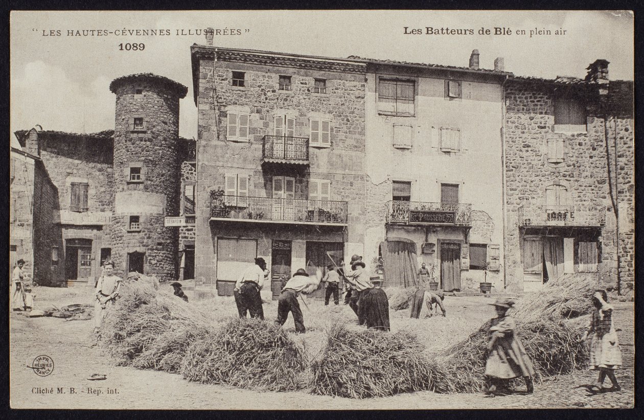 Carte postale représentant les batteurs de maïs dans les Cévennes, vers 1900 - French Photographer