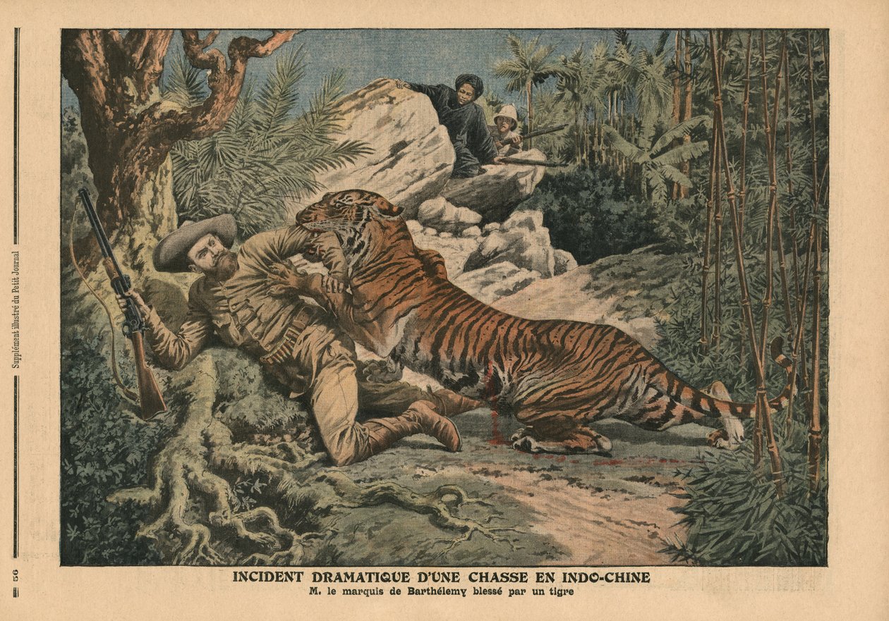 Marquis de Barthélemy blessé par un tigre, illustration de 
