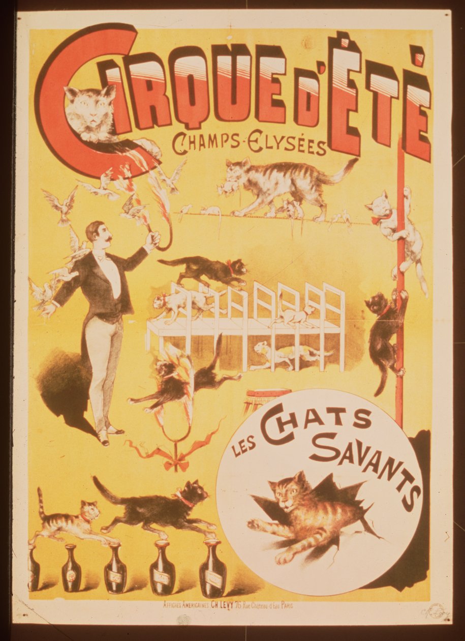Affiche publicitaire pour le Cirque d