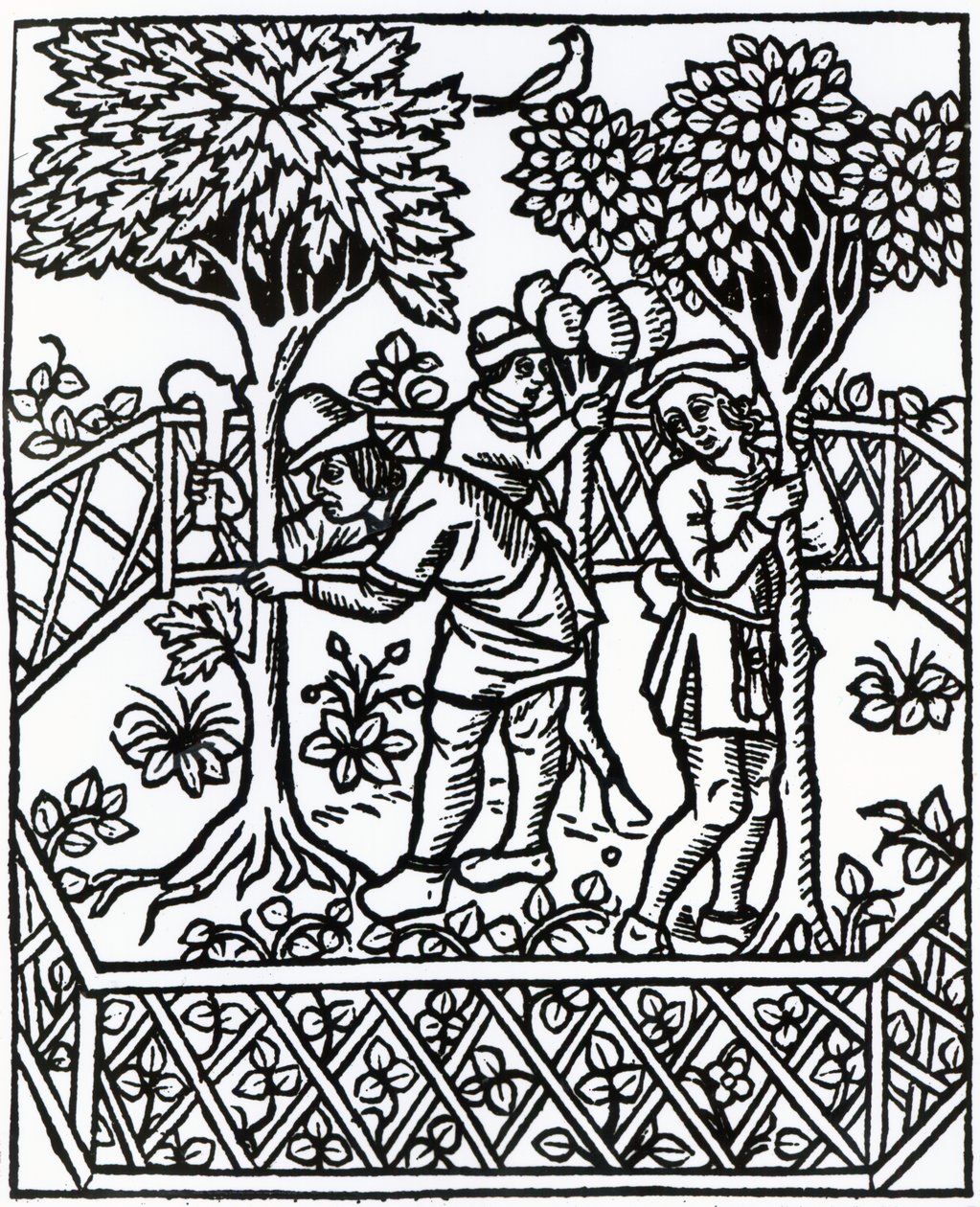 Soins des vignes de 