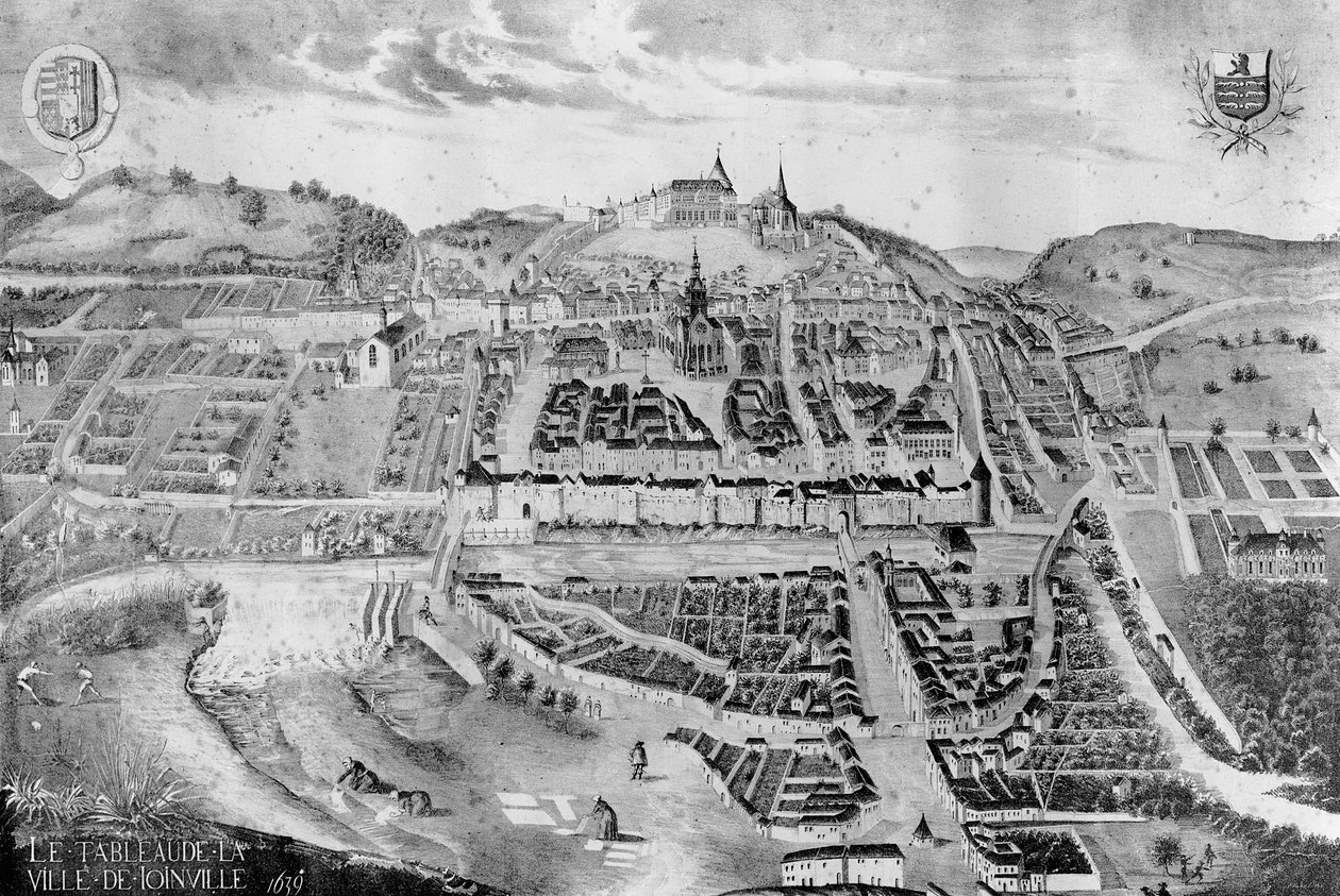 Vue du château et de la ville de Joinville, d