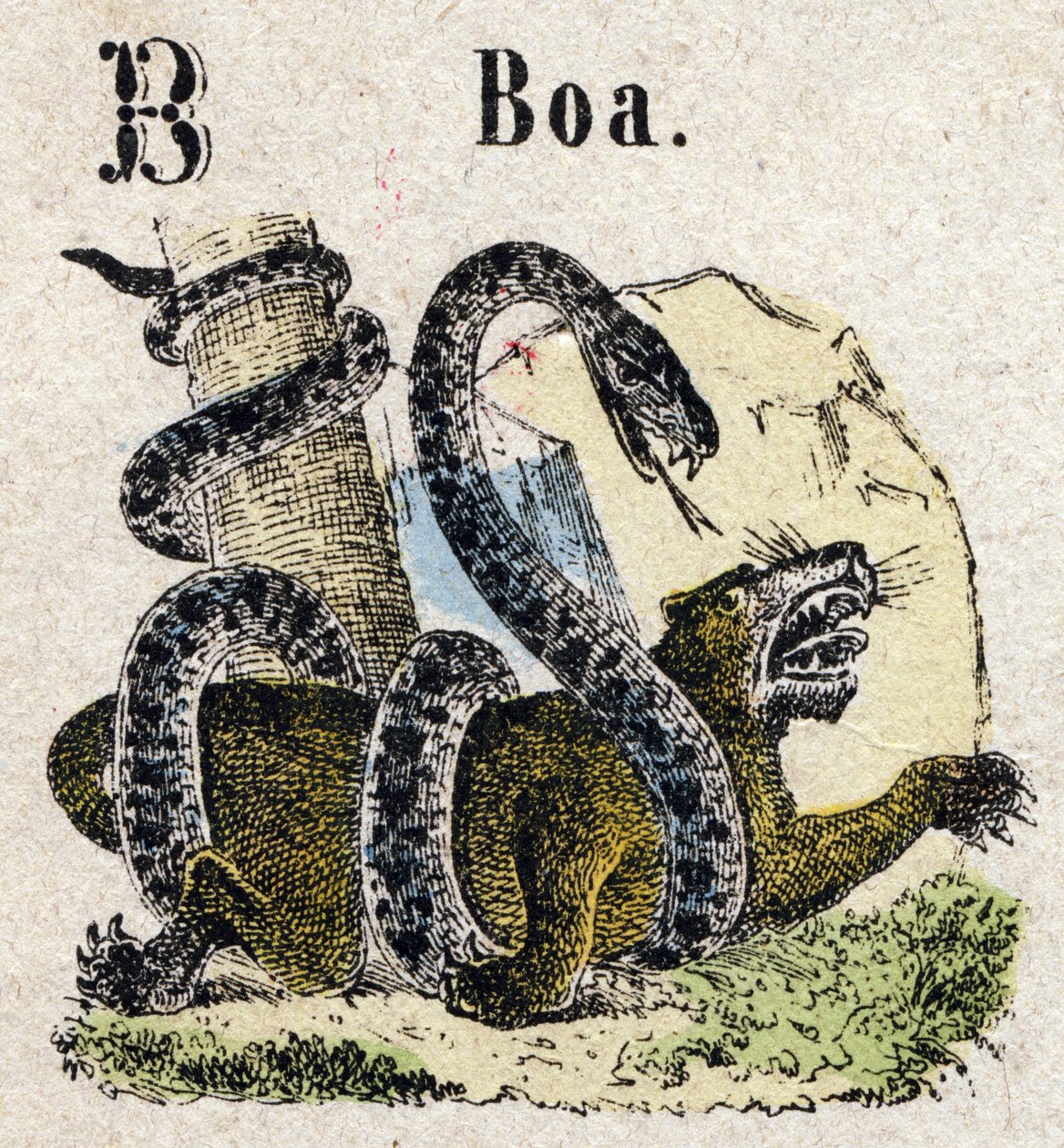 Abécédaire. Lettre B comme Boa. Petit alphabet encyclopédique, série populaire. Imagerie d