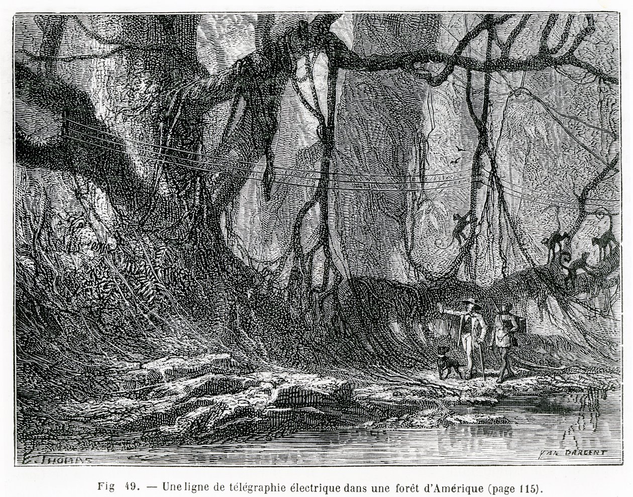 Une ligne de télégraphe électrique dans une forêt américaine, vers 1870 (gravure) - French School