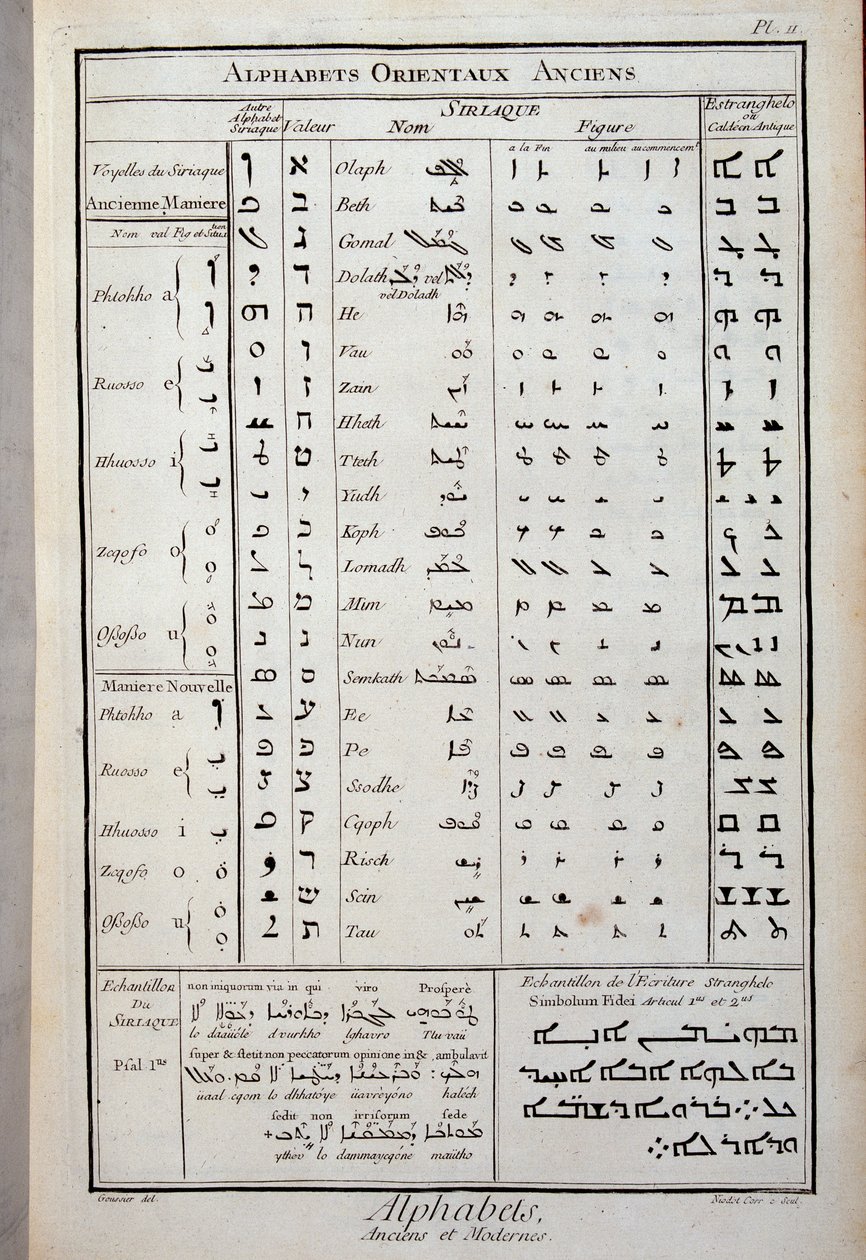 Alphabets orientaux anciens - French School