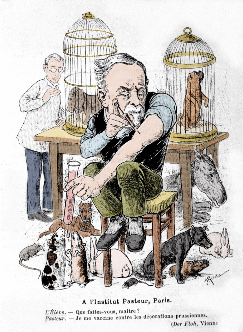 Représentation caricaturale du scientifique Louis Pasteur, inventeur du vaccin contre la rage, se vaccinant contre les décorations prussiennes. Publiée dans 