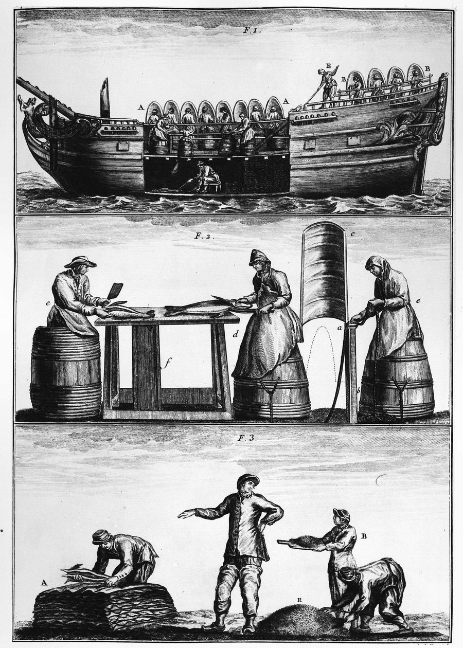 Pêche à la morue : chargement, découpe et salage du poisson - dans « Traité général des pêches » par Duhamel du Monceau - French School