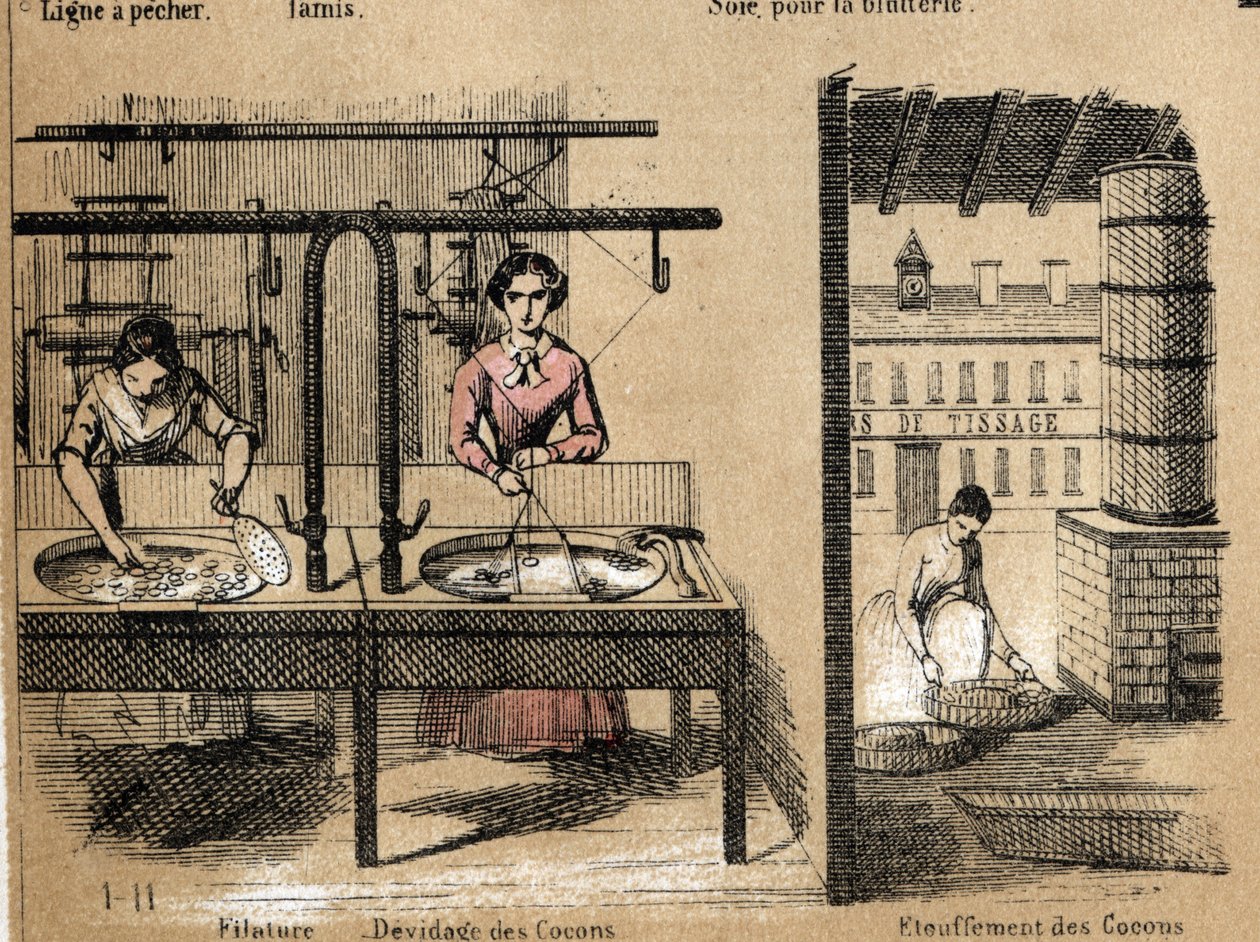 Description de la culture et des produits de la soie : des ouvriers filant la soie, retirant ou étouffant les cocons. Planche "La soie" dans "Les Récréations instructives" peinture synoptique de Jules Delbruck, gravure de 1860. Collection privée. - French School