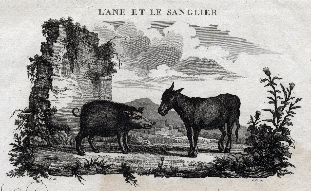 Âne et sanglier. Fable d