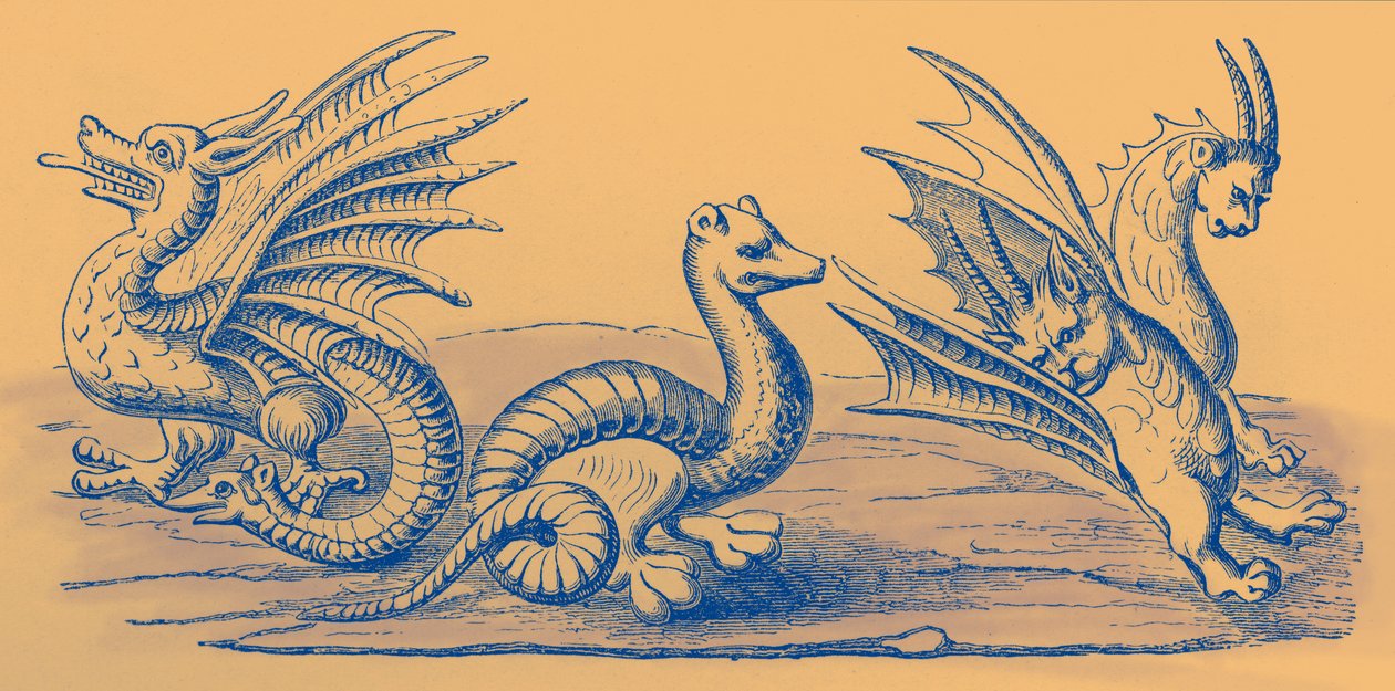 Dragons - French School