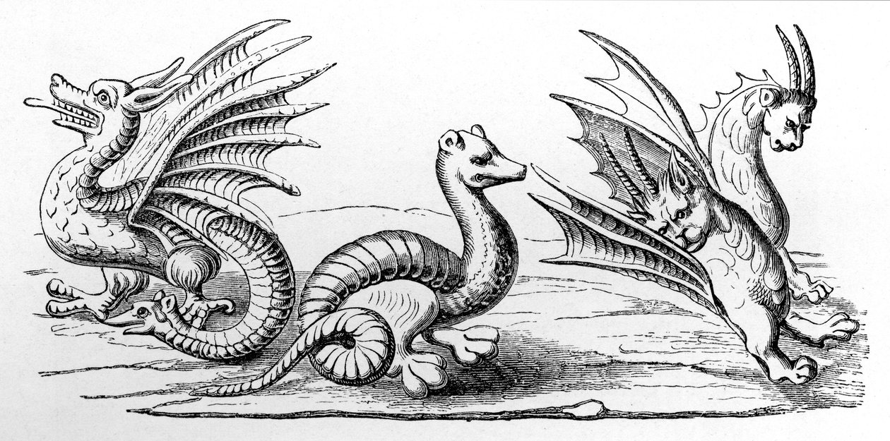 Dragons - French School