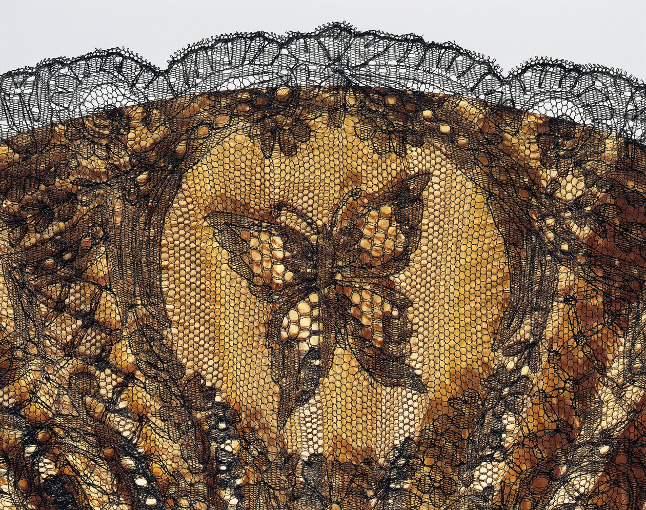 Papillon brodé, détail d