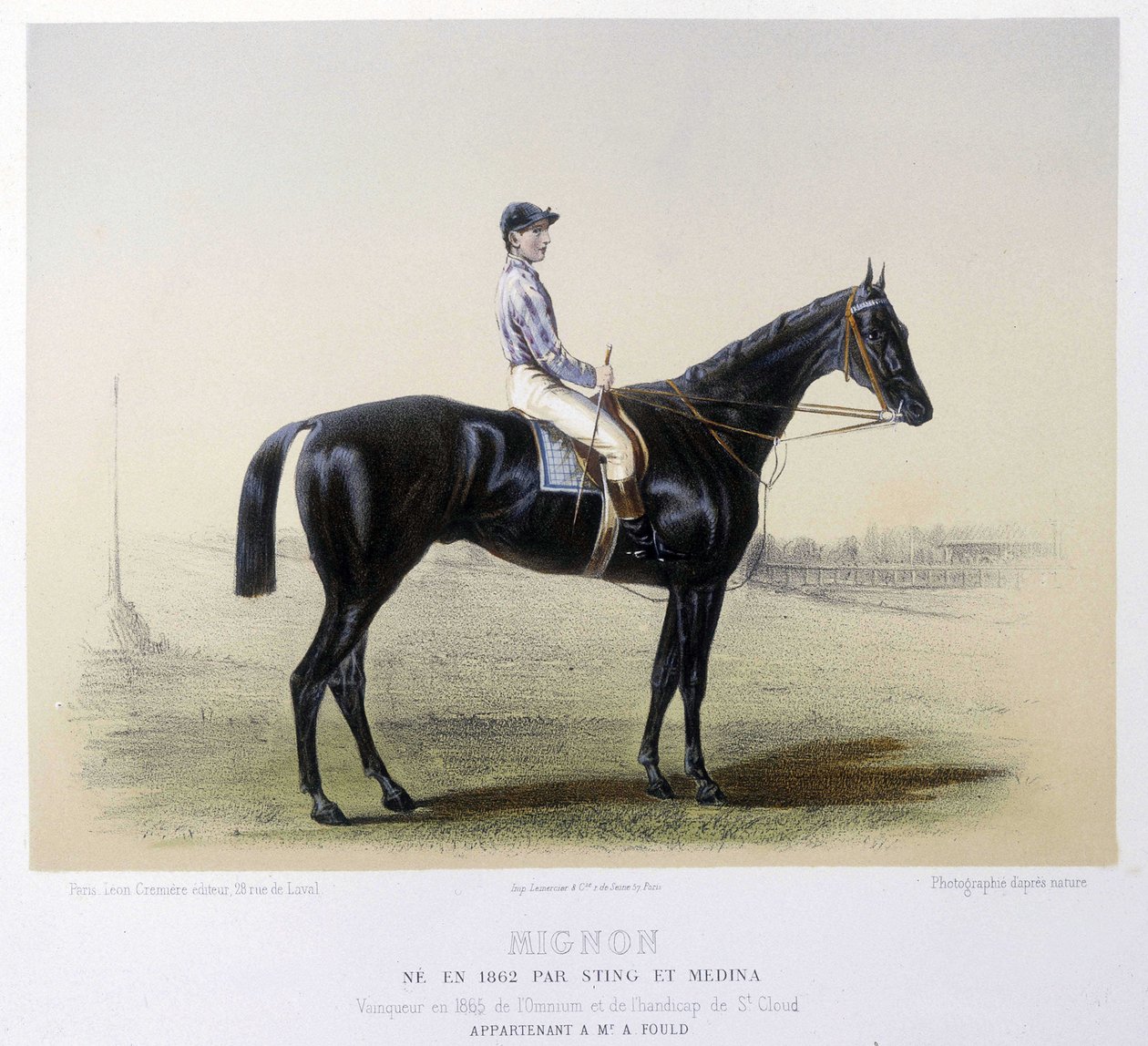 Cheval de course célèbre - dans « Le Centaure » 1866 - French School