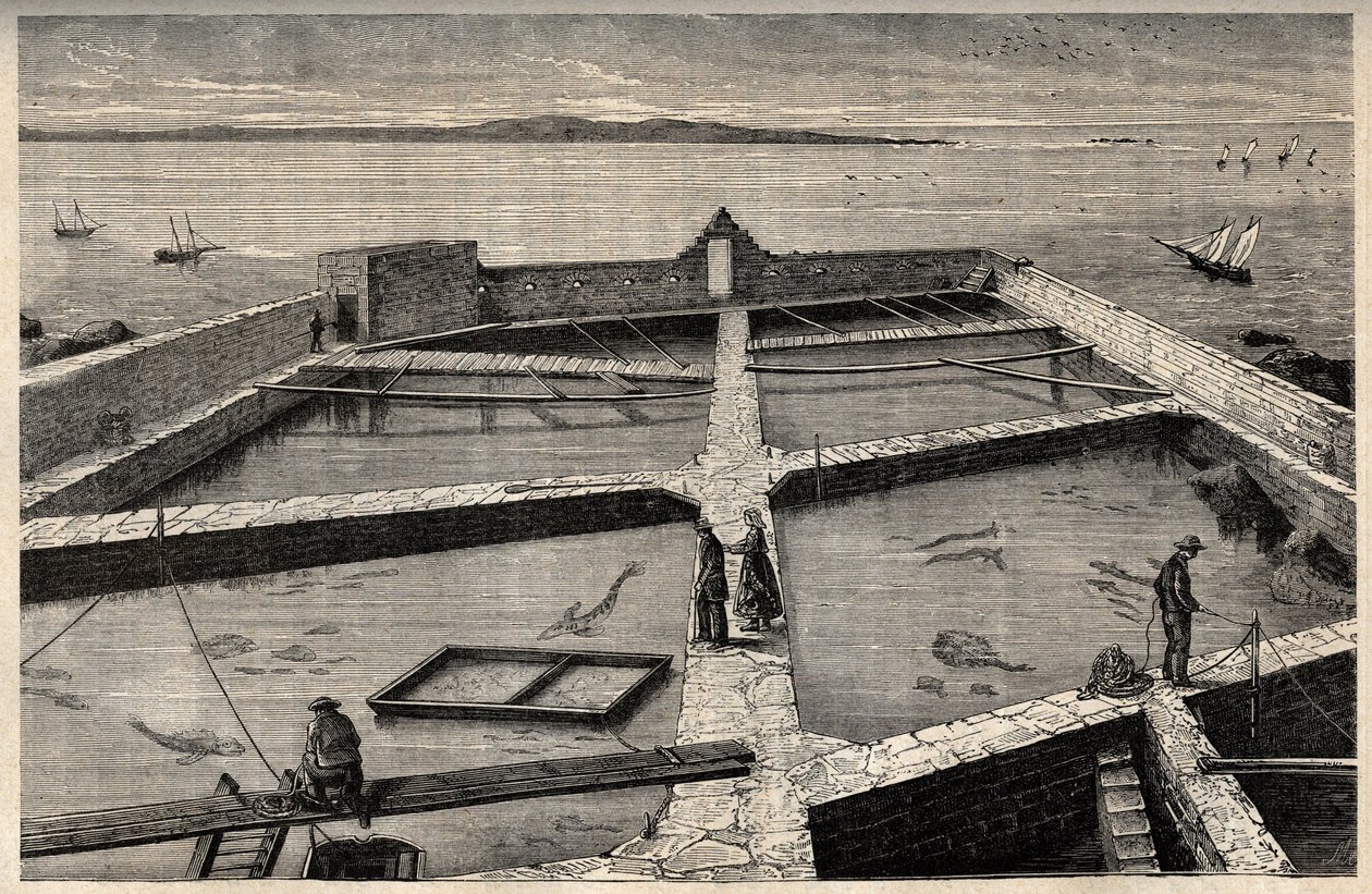 Pisciculture à Concarneau - Bretagne - Établissement de pisciculture - Concarneau - Finistère - Bretagne - gravure dans "PATRIE" - DESCRIPTION PICTURESQUE DE LA FRANCE EN 6 VOLUMES PAR LUCIEN HUARD - fin XIXe siècle - French School