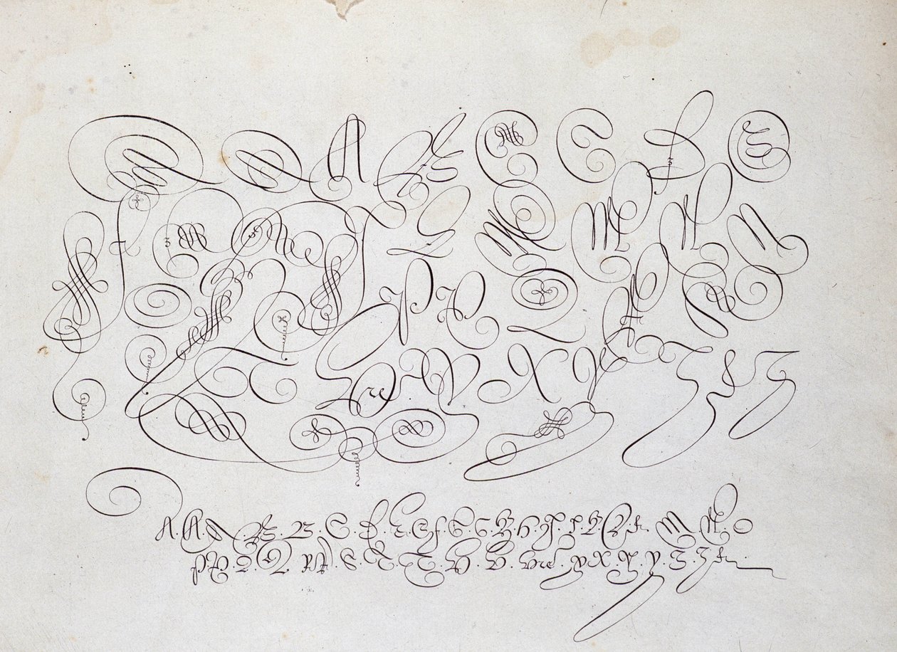 Calligraphie française : Planche de capitales, gravure de Frisius, calcographe du roi par Robert Vignon dans le jardin de l