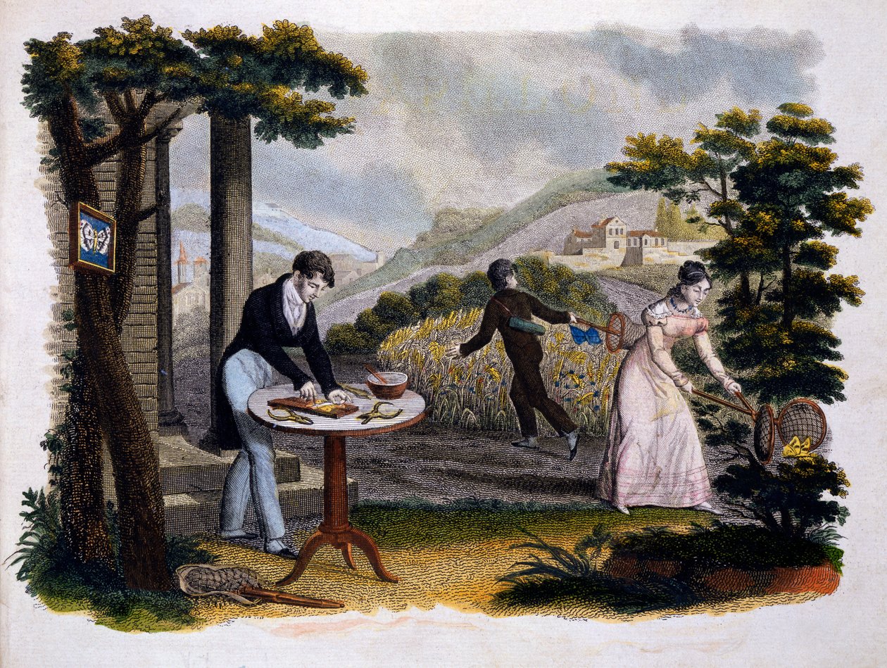 Frontispice de Les Papillons... par Eugène Balland (1796-c.1850), publié par P. Blanchard, Lecerf, Paris, 1823 - French School