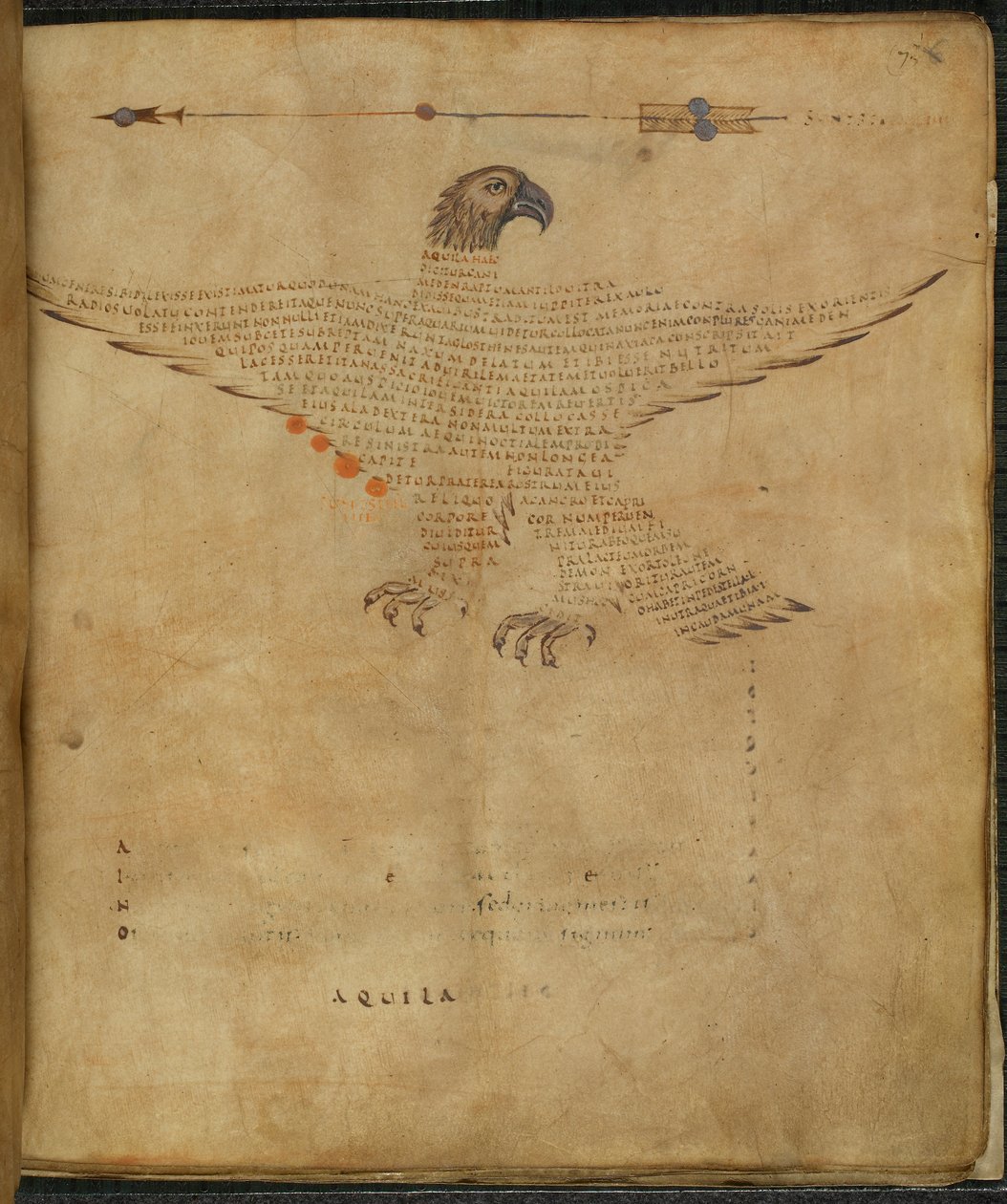 Illustration de la constellation 