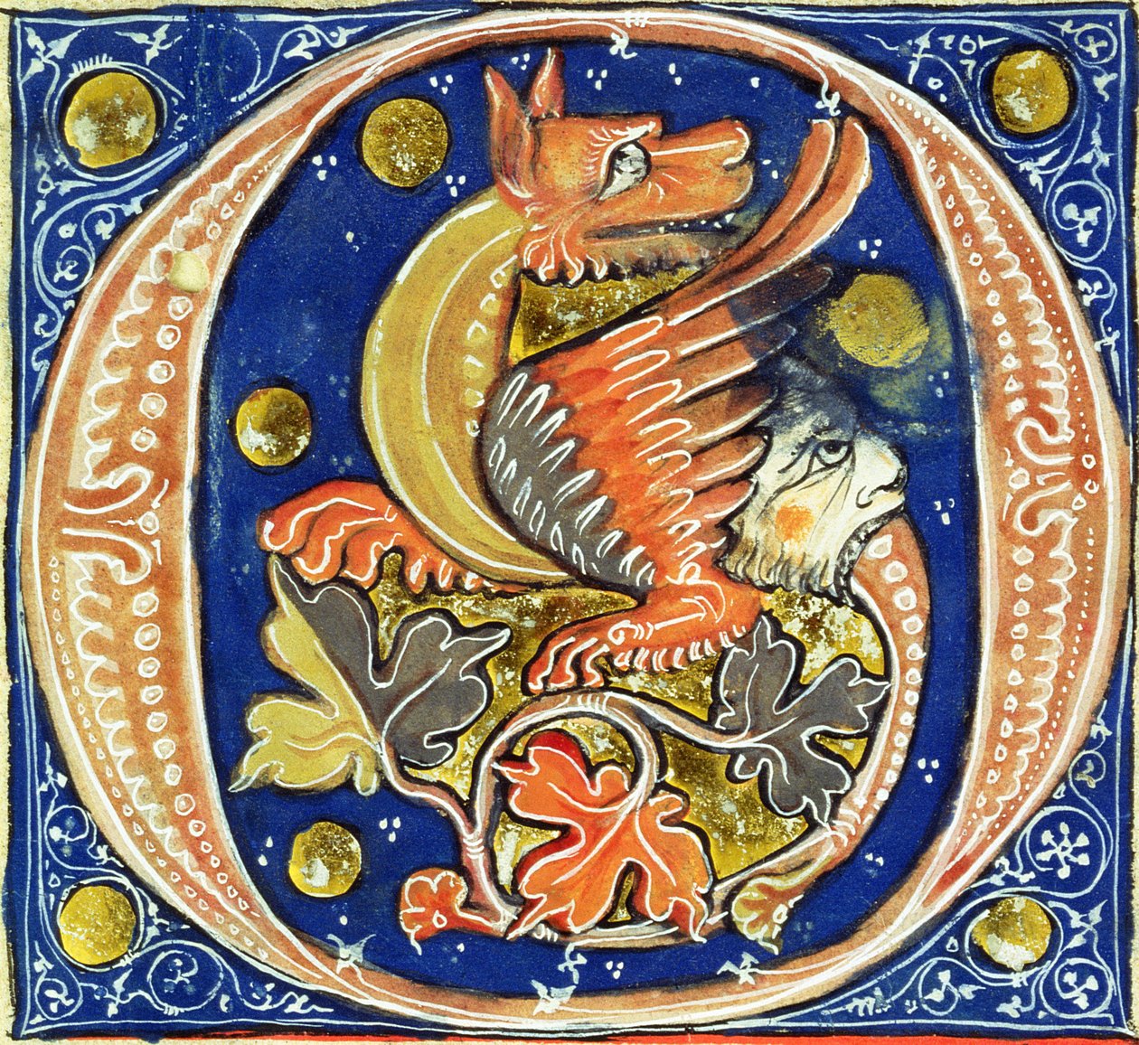 Initiale historiée O représentant un griffon ailé - French School